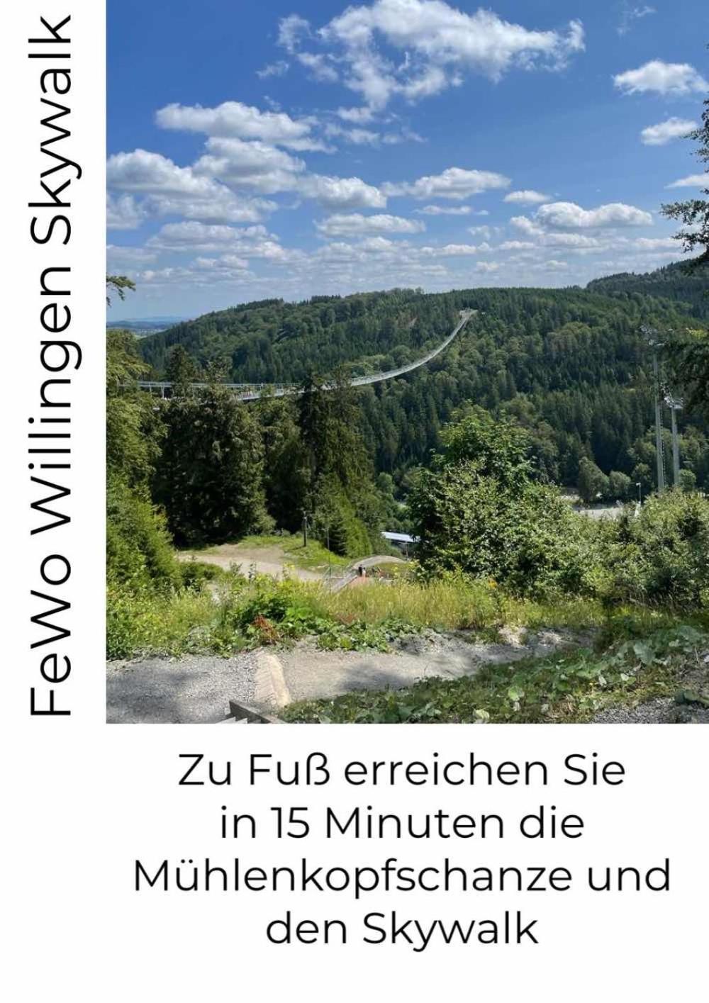 Fewo Skywalk Willingen Stryck Dış mekan fotoğraf