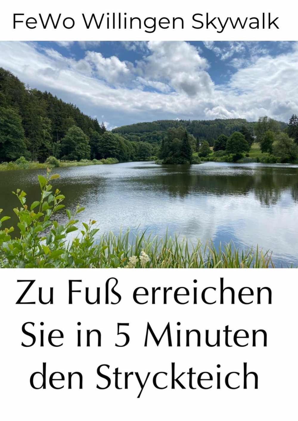 Fewo Skywalk Willingen Stryck Dış mekan fotoğraf